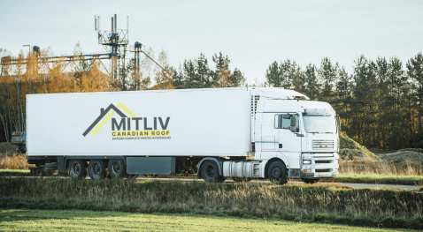 bg mitliv car